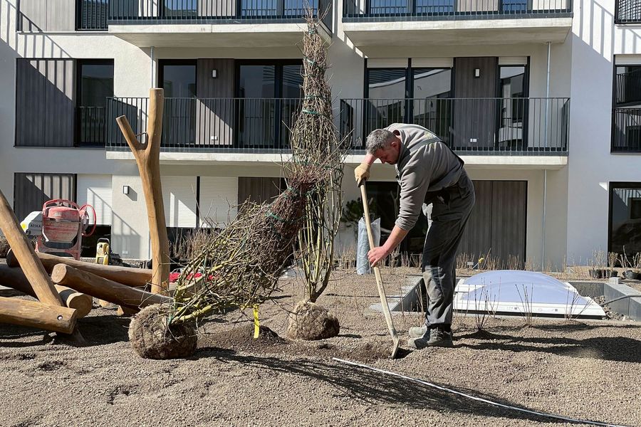 Zaiser Gartengestaltung GmbH Sedelhoefe Zaiser Gartengestaltung GmbH Sedelhoefe