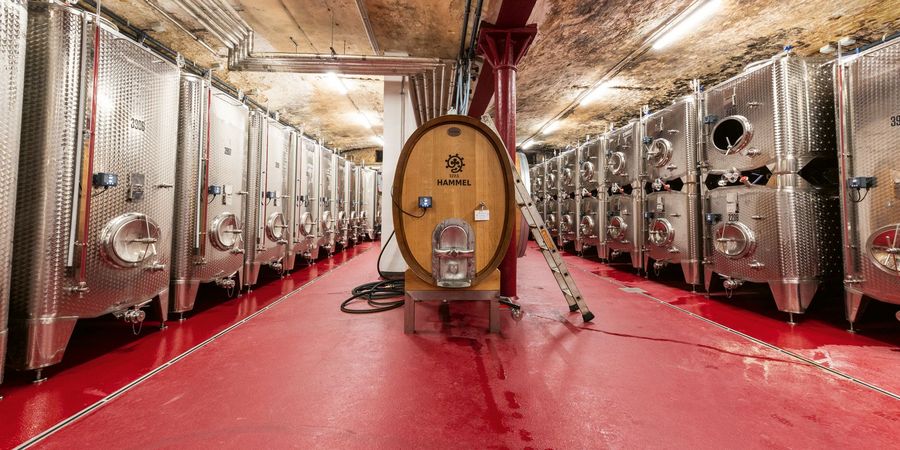 Weingut Hammel GmbH Hightech im Weinkeller Weingut Hammel GmbH Hightech im Weinkeller