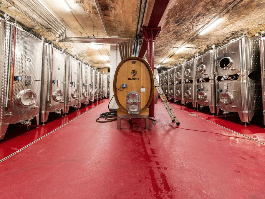 „Weinbautradition bewahren und weiterentwickeln“