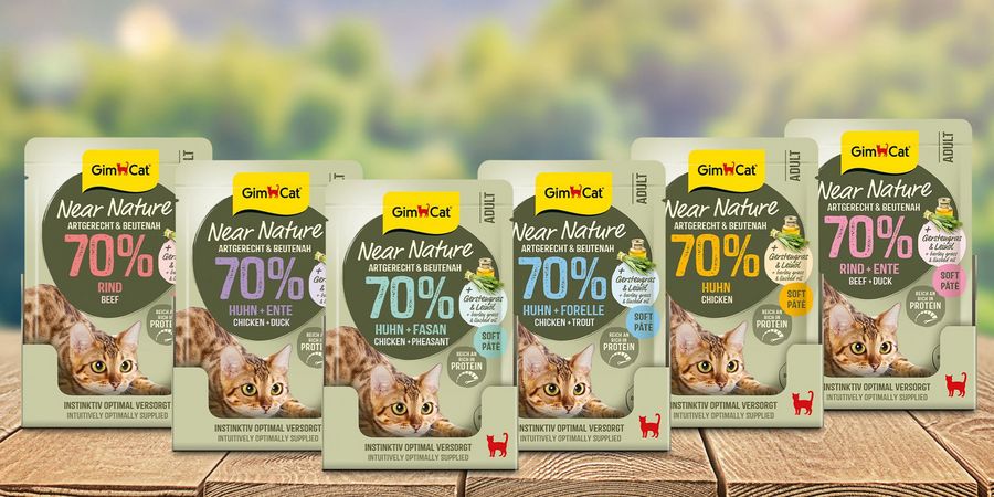 Von Emmerich in die Welt