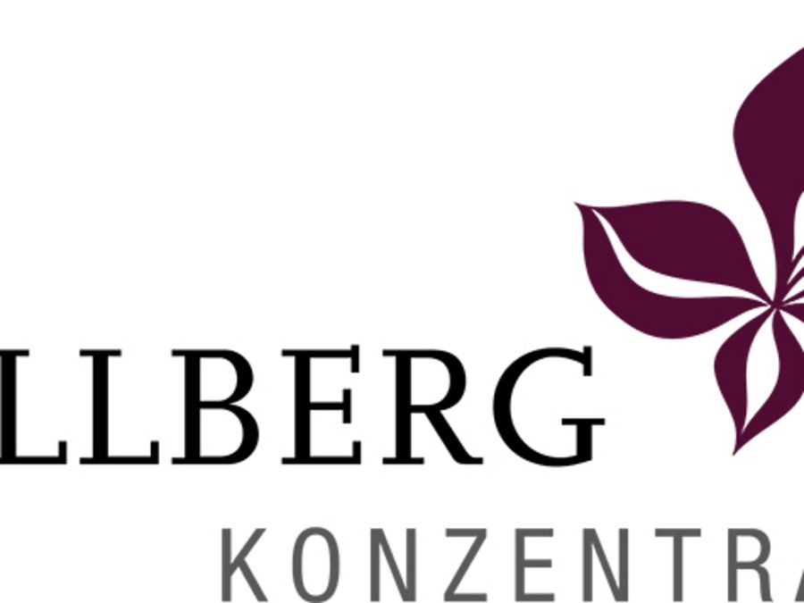 Düllberg Konzentra GmbH & Co. KG