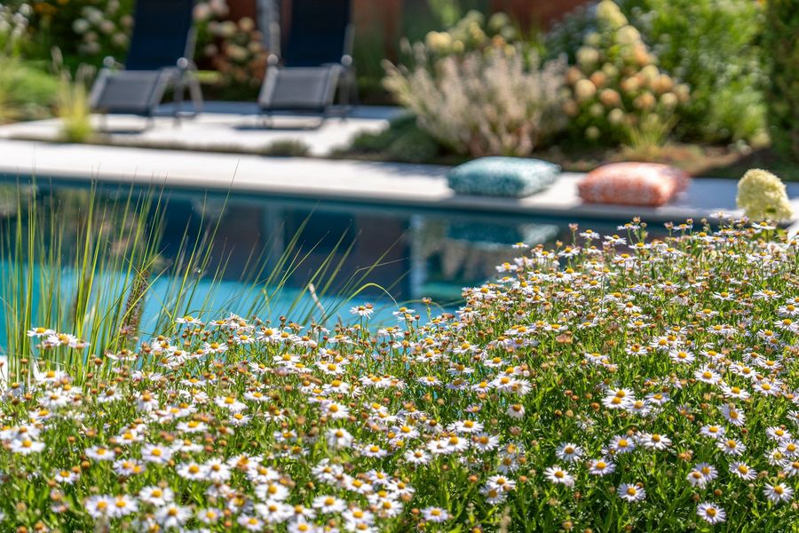 GRIMM garten gestalten GmbH Pflanzung GRIMM garten gestalten GmbH Pflanzung