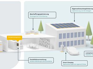 Wenn Nachhaltigkeit unter Strom steht