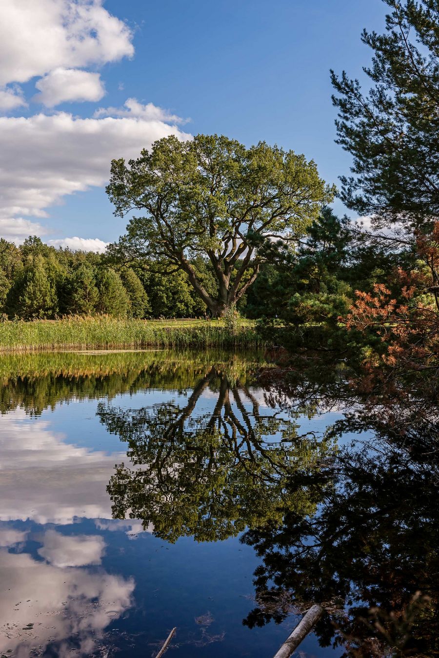 Die geschützte Landschaft rund um Semlin prägt den besonderen Charakter des Standorts Die geschützte Landschaft rund um Semlin prägt den besonderen Charakter des Standorts