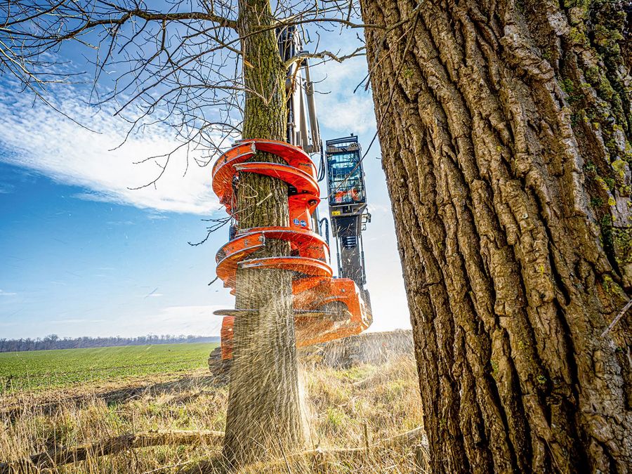 Vom Garagenprojekt zum Global Player