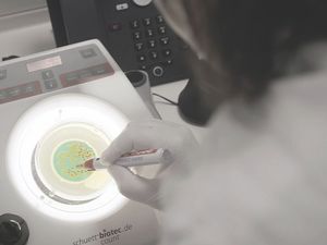 MedTech mit Verantwortung – Lösungen, die verbinden
