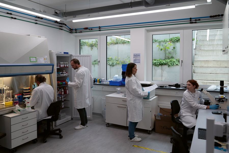 ibidi GmbH Forschungsinstituten ibidi GmbH Forschungsinstituten