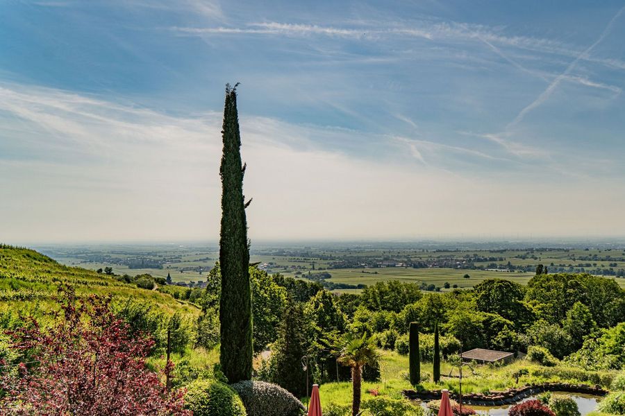 weinhaus-lergenmueller-landschaft-st-annaberg weinhaus-lergenmueller-landschaft-st-annaberg