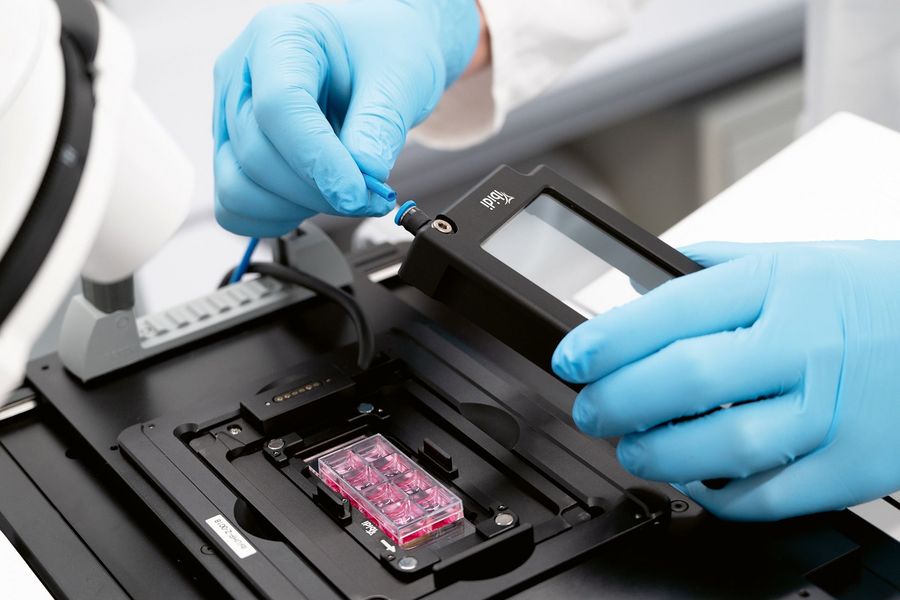 ibidi GmbH Bildgebung ibidi GmbH Bildgebung