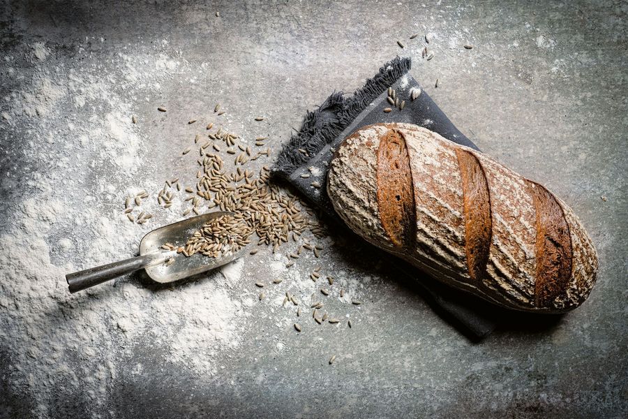 backwelt-pilz-waldviertler-bio-roggenbrot backwelt-pilz-waldviertler-bio-roggenbrot