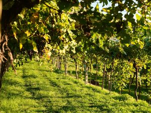 Gemeinschaft als Erfolgsmodell