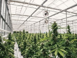 „Brauchen Aufklärung und Entstigmatisierung“