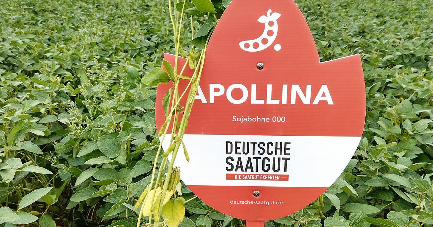 Wir mssen uns die mittelstndische Landwirtschaft bewahren! |  wirtschaftsforum.de