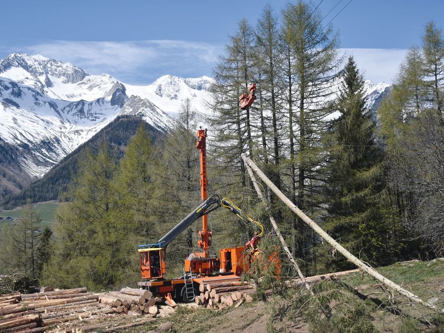 Stark in steilem Gelände