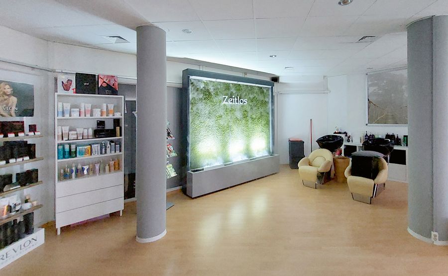 Beruhigend, inspirierend, natürlich: Die Mooswand als visuelles Highlight mit gesundheitsfördernder Wirkung