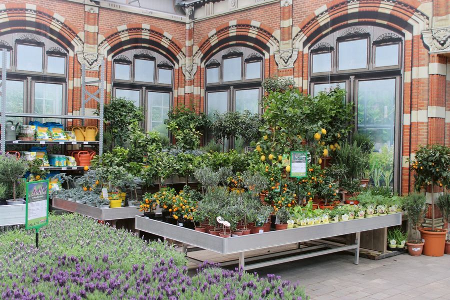 Gartencenter aus Holland GmbH Pflanzenauswahl