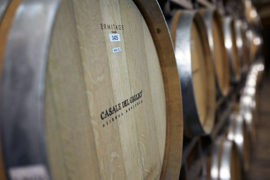 Casale del Giglio Soc. Agr. S.r.l. selektierte Barriques