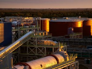 Pioniere der grünen Prozessindustrie