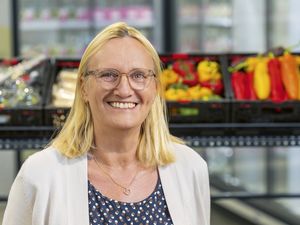 Gemüsezüchtung im Wandel der Zeit
