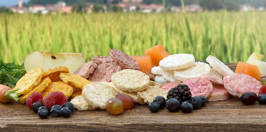 SanoRice Holding B.V. Sortenvielfalt SanoRice Holding B.V. Sortenvielfalt