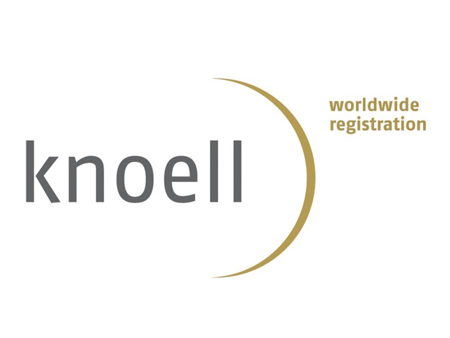 knoell Germany GmbH