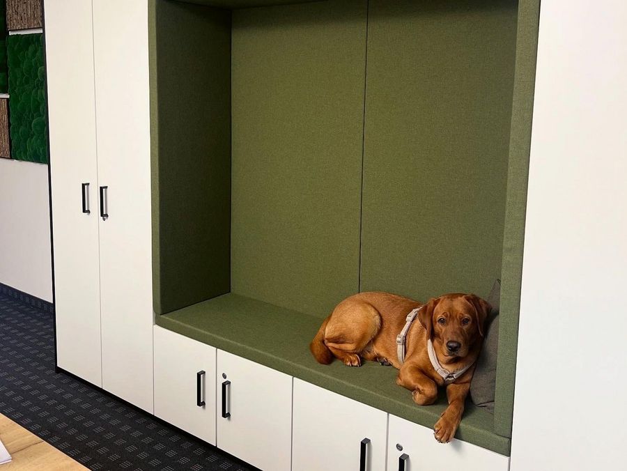 Heisinger Büro- & Objekteinrichtung GmbH & Co. KG Bürohund 