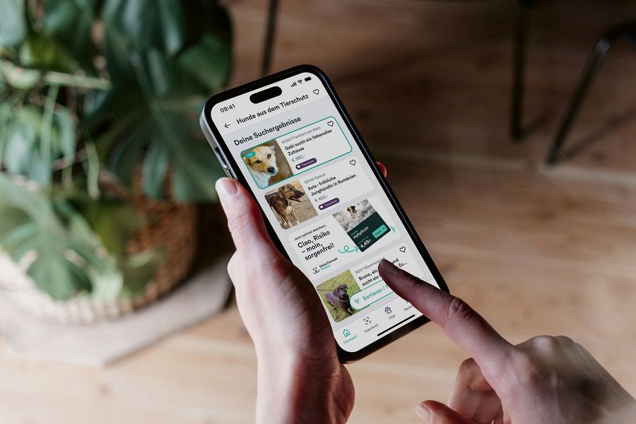 Deine Tierwelt GmbH Inserate Deine Tierwelt GmbH Inserate