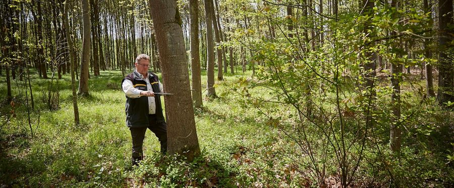 Technische Betriebe Offenburg Bewirtschaftung 