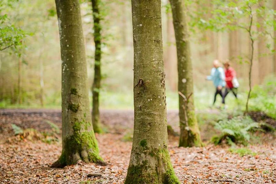 Sport- und Bewegungsprogramm