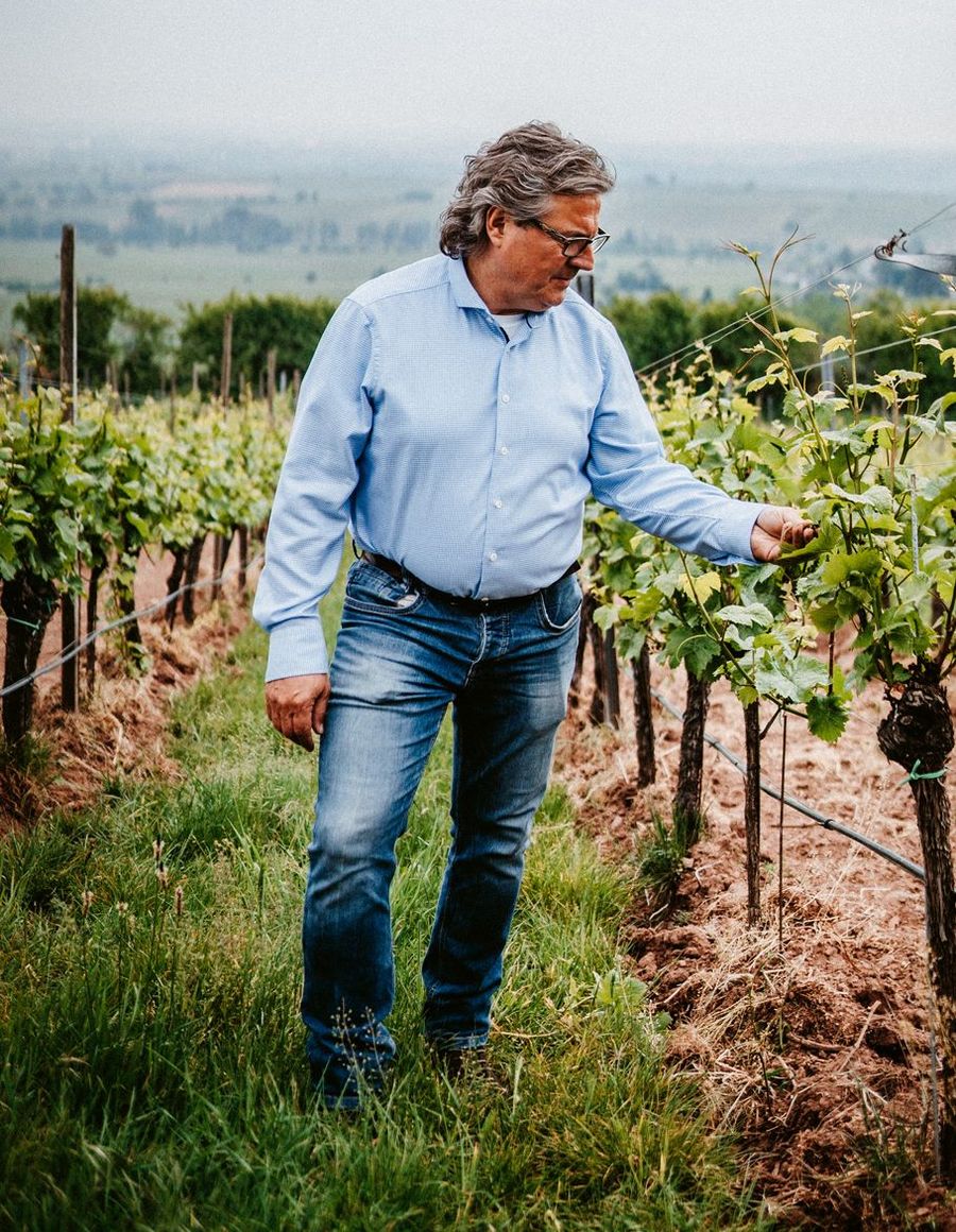 weinhaus-lergenmueller-juergen-lergenmueller weinhaus-lergenmueller-juergen-lergenmueller