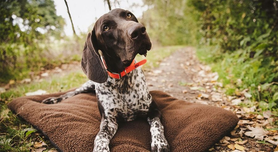 Huntivity Group GmbH Ausrüstung 