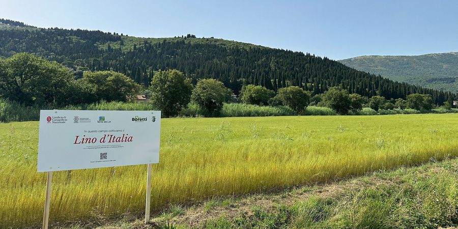 Linificio e Canapificio Nazionale Lino d´Italia Linificio e Canapificio Nazionale Lino d´Italia