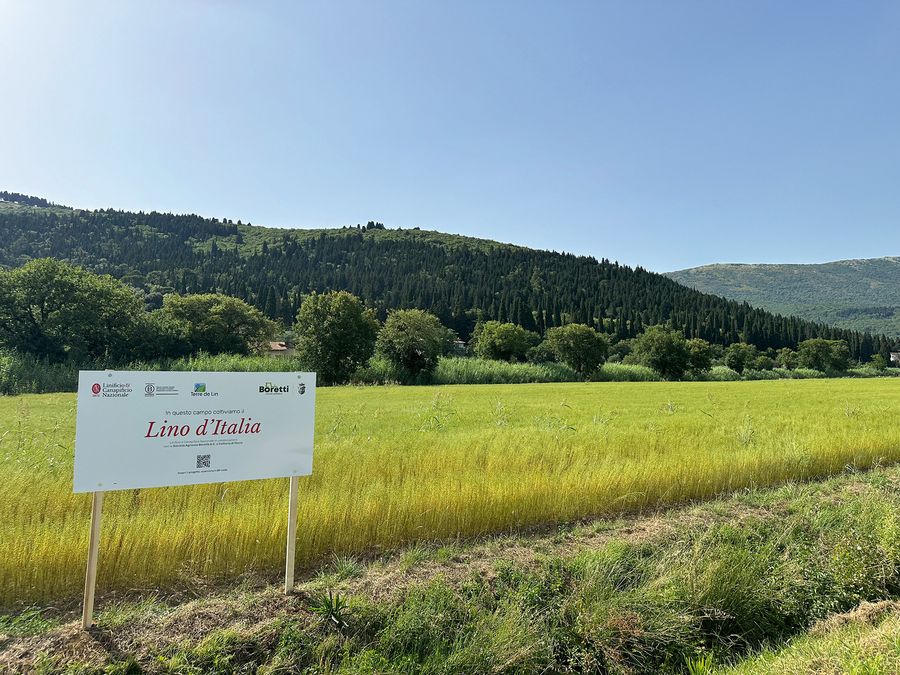 Von der Saat bis zum Garn – seit 1873 Von der Saat bis zum Garn – seit 1873