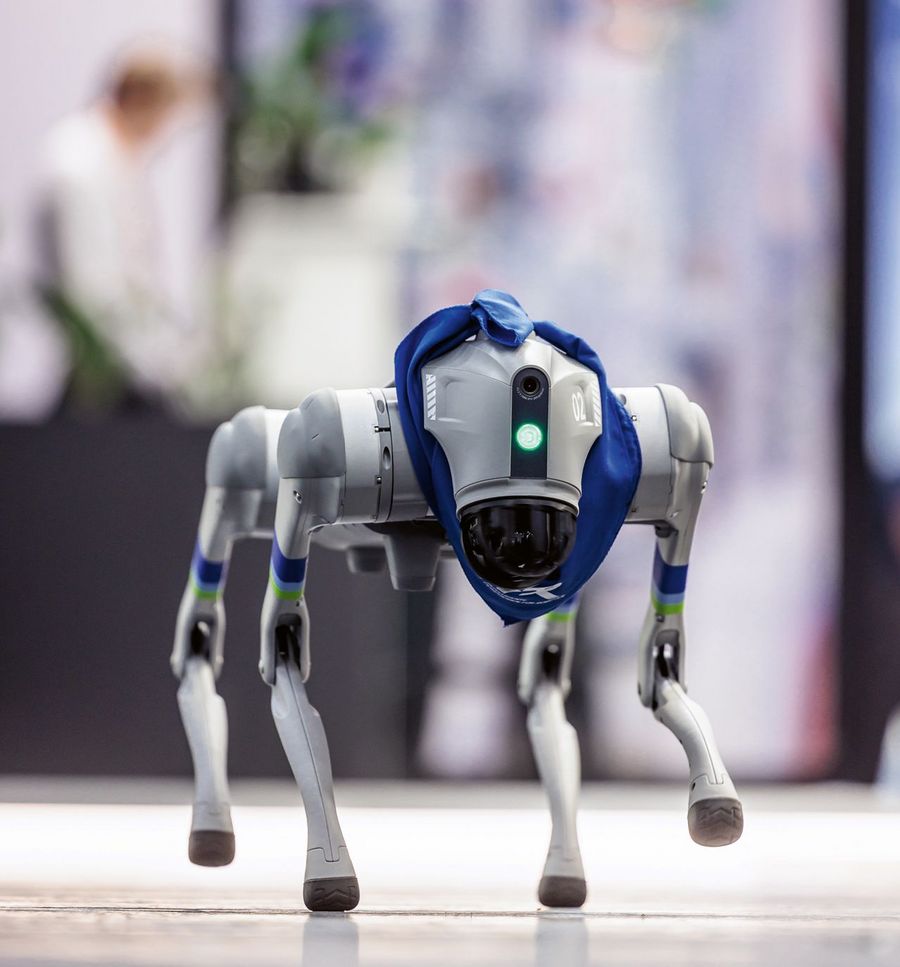 IPR GmbH Maskottchen